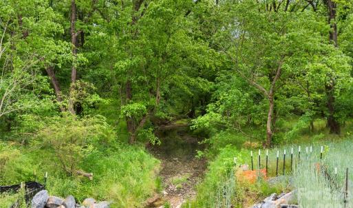 Photo #19 of McIntyre, Wingate, NC