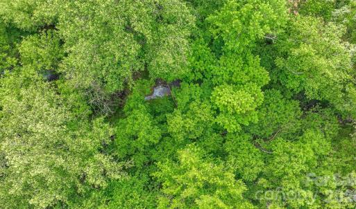 Photo #18 of McIntyre, Wingate, NC