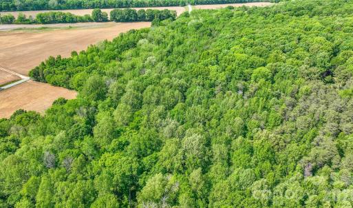 Photo #20 of McIntyre, Wingate, NC