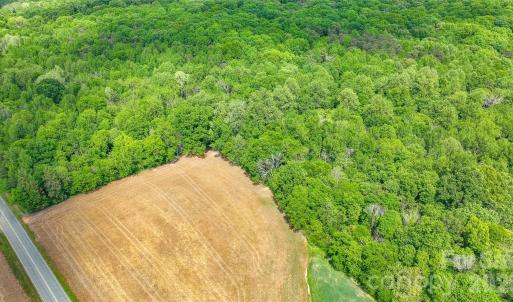 Photo #14 of McIntyre, Wingate, NC