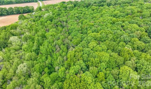 Photo #17 of McIntyre, Wingate, NC