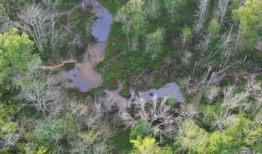 Photo #10 of TBD Horne Town, Polkton, NC