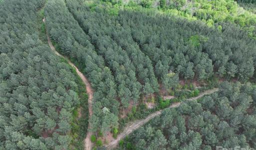 Photo #36 of TBD Horne Town, Polkton, NC