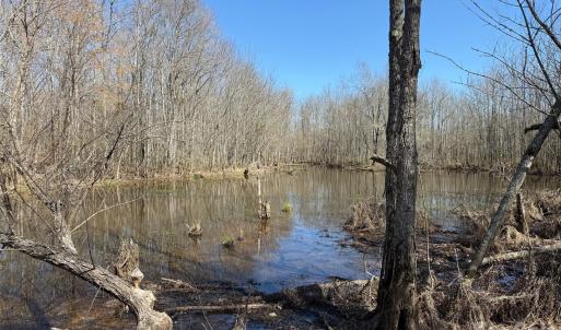 Photo #5 of TBD Horne Town, Polkton, NC