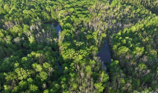 Photo #27 of TBD Horne Town, Polkton, NC