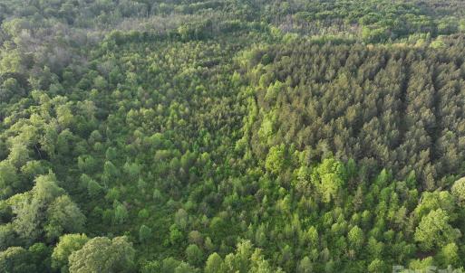 Photo #21 of TBD Horne Town, Polkton, NC