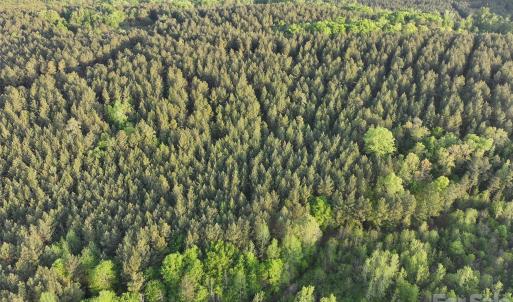 Photo #31 of TBD Horne Town, Polkton, NC