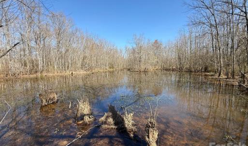 Photo #6 of TBD Horne Town, Polkton, NC