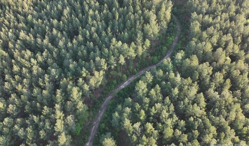 Photo #32 of TBD Horne Town, Polkton, NC