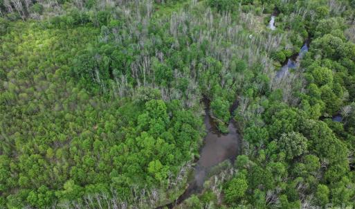 Photo #12 of TBD Horne Town, Polkton, NC