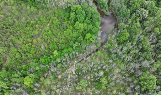 Photo #17 of TBD Horne Town, Polkton, NC