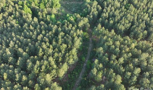 Photo #33 of TBD Horne Town, Polkton, NC