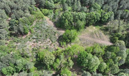 Photo #15 of TBD Horne Town, Polkton, NC