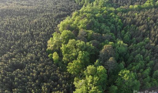 Photo #18 of TBD Horne Town, Polkton, NC