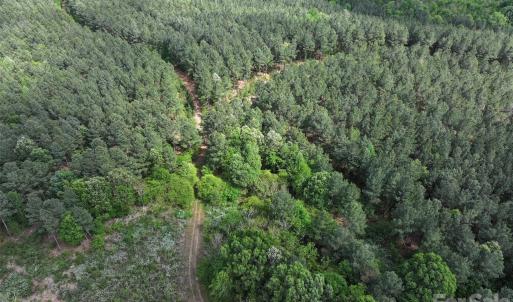 Photo #16 of TBD Horne Town, Polkton, NC