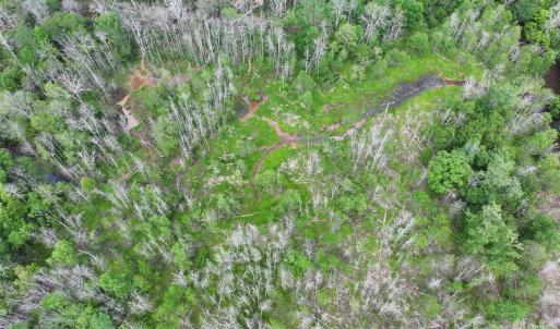 Photo #37 of TBD Horne Town, Polkton, NC