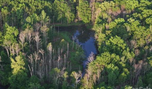 Photo #7 of TBD Horne Town, Polkton, NC