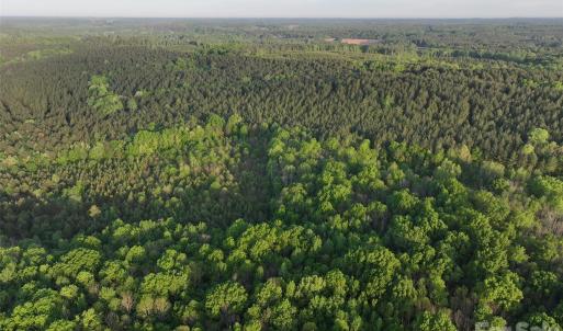 Photo #30 of TBD Horne Town, Polkton, NC