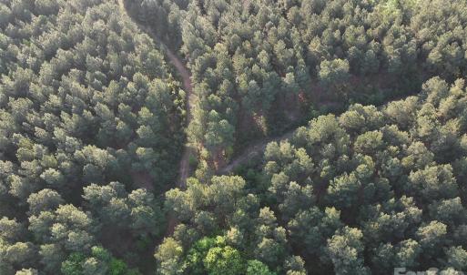 Photo #35 of TBD Horne Town, Polkton, NC