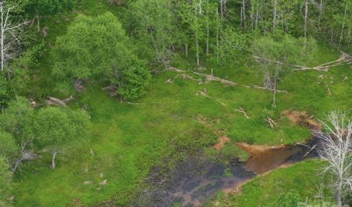 Photo #26 of TBD Horne Town, Polkton, NC