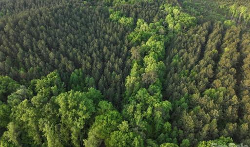 Photo #20 of TBD Horne Town, Polkton, NC