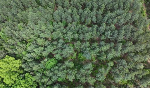 Photo #8 of TBD Horne Town, Polkton, NC