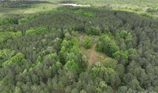 Photo #13 of TBD Horne Town, Polkton, NC