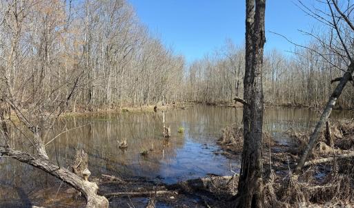 Photo #4 of TBD Horne Town, Polkton, NC