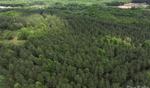 Photo #13 of TBD Horne Town, Polkton, NC