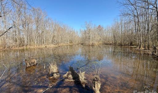 Photo #5 of TBD Horne Town, Polkton, NC