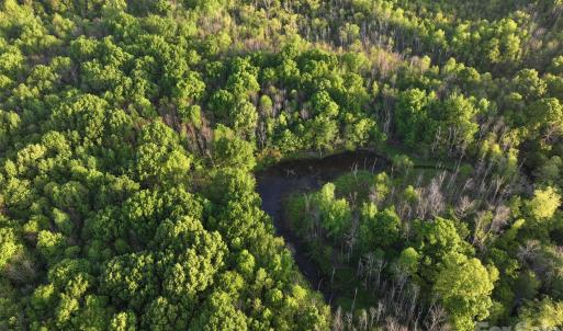 Photo #28 of TBD Horne Town, Polkton, NC