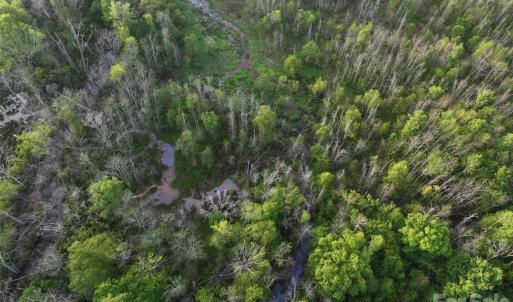 Photo #22 of TBD Horne Town, Polkton, NC
