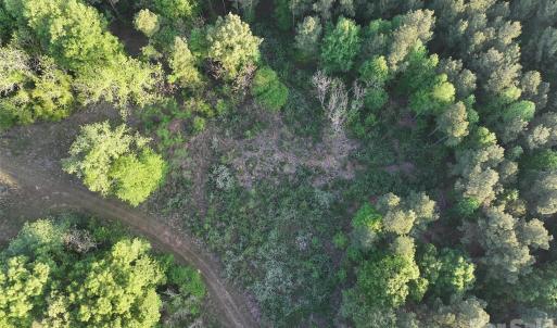 Photo #33 of TBD Horne Town, Polkton, NC