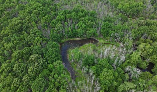 Photo #23 of TBD Horne Town, Polkton, NC