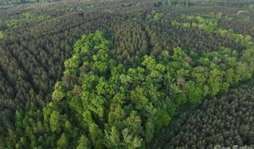 Photo #21 of TBD Horne Town, Polkton, NC