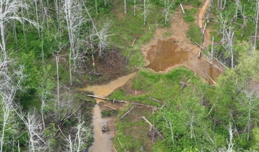 Photo #10 of TBD Horne Town, Polkton, NC