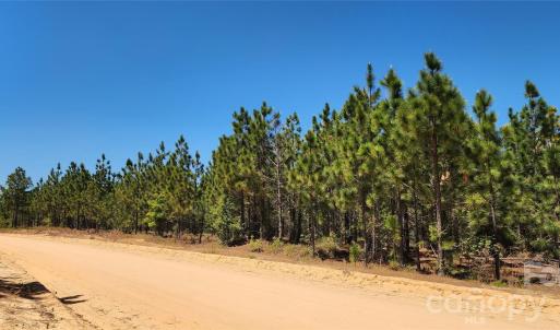 Photo #2 of Mcqueen, Patrick, SC