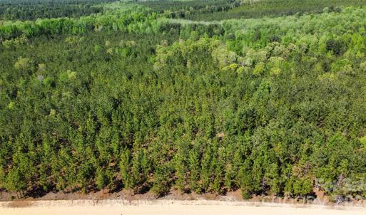 Photo #36 of Mcqueen, Patrick, SC