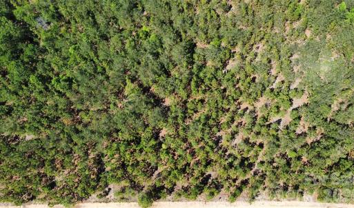 Photo #26 of Mcqueen, Patrick, SC