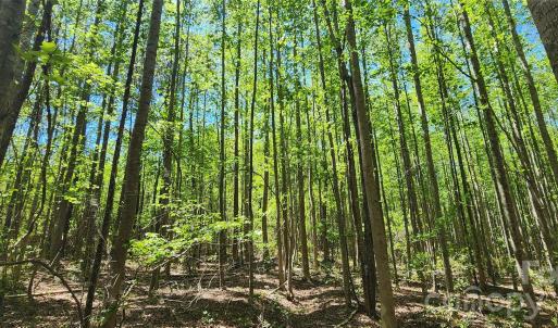 Photo #37 of Mcqueen, Patrick, SC