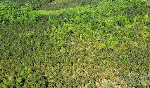 Photo #22 of Mcqueen, Patrick, SC