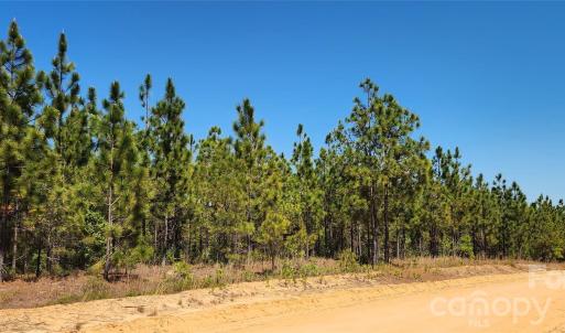 Photo #18 of Mcqueen, Patrick, SC