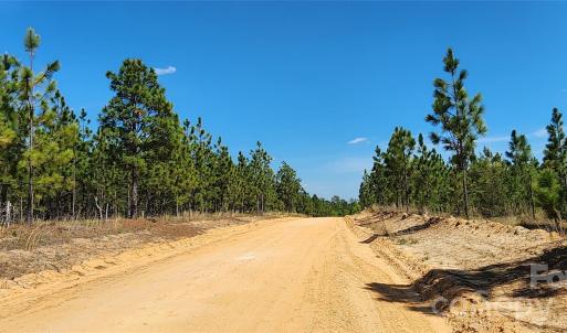 Photo #34 of Mcqueen, Patrick, SC