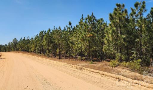 Photo #32 of Mcqueen, Patrick, SC