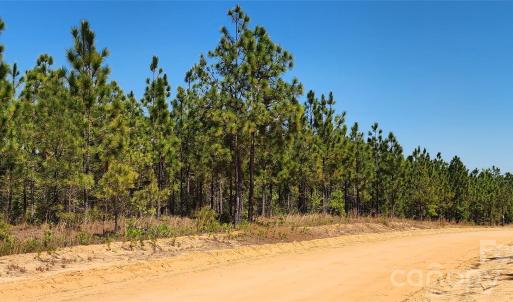 Photo #15 of Mcqueen, Patrick, SC