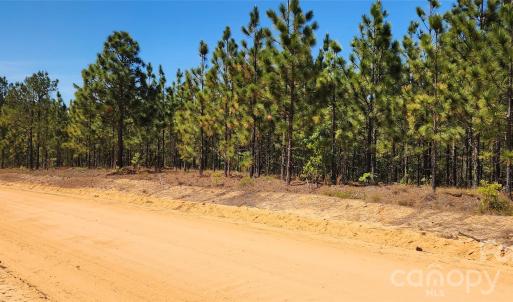 Photo #11 of Mcqueen, Patrick, SC