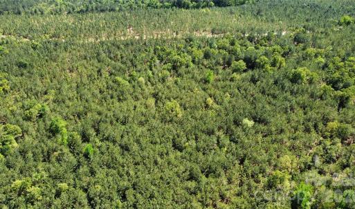 Photo #29 of Mcqueen, Patrick, SC