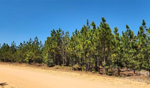 Photo #12 of Mcqueen, Patrick, SC