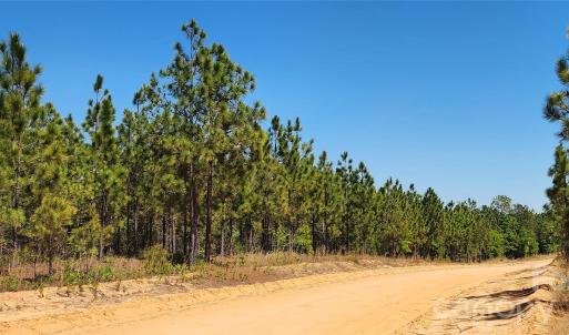 Photo #16 of Mcqueen, Patrick, SC