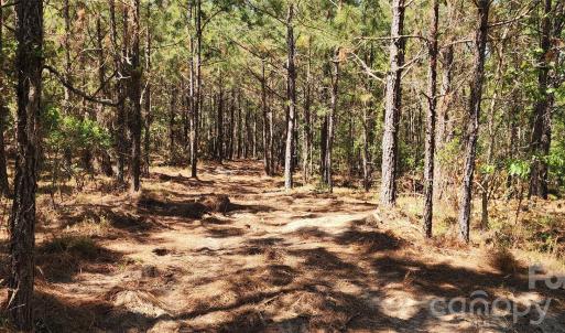 Photo #13 of 1050 Mcqueen, Patrick, SC